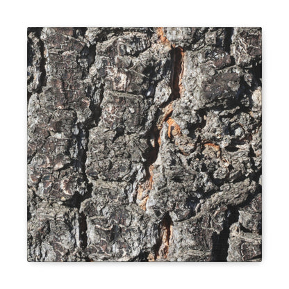 Arboreal Skin - Unique Frameless Canvas Wall Art - Art By Earth