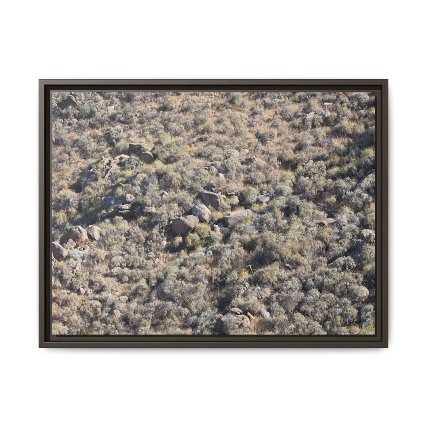 Arid Terrain Study - Unique Stretched Canvas Wall Art - Art By Earth