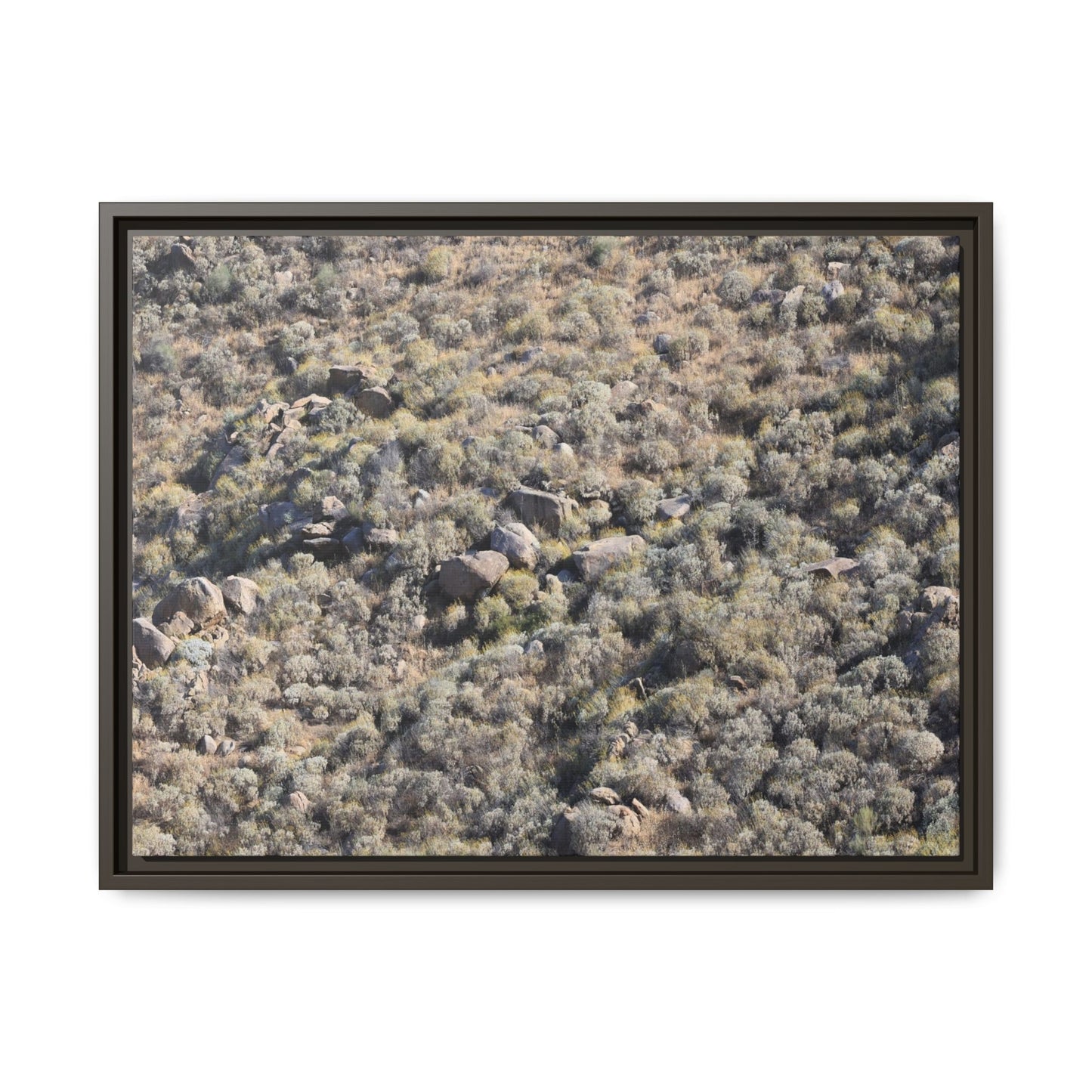Arid Terrain Study - Unique Stretched Canvas Wall Art - Art By Earth