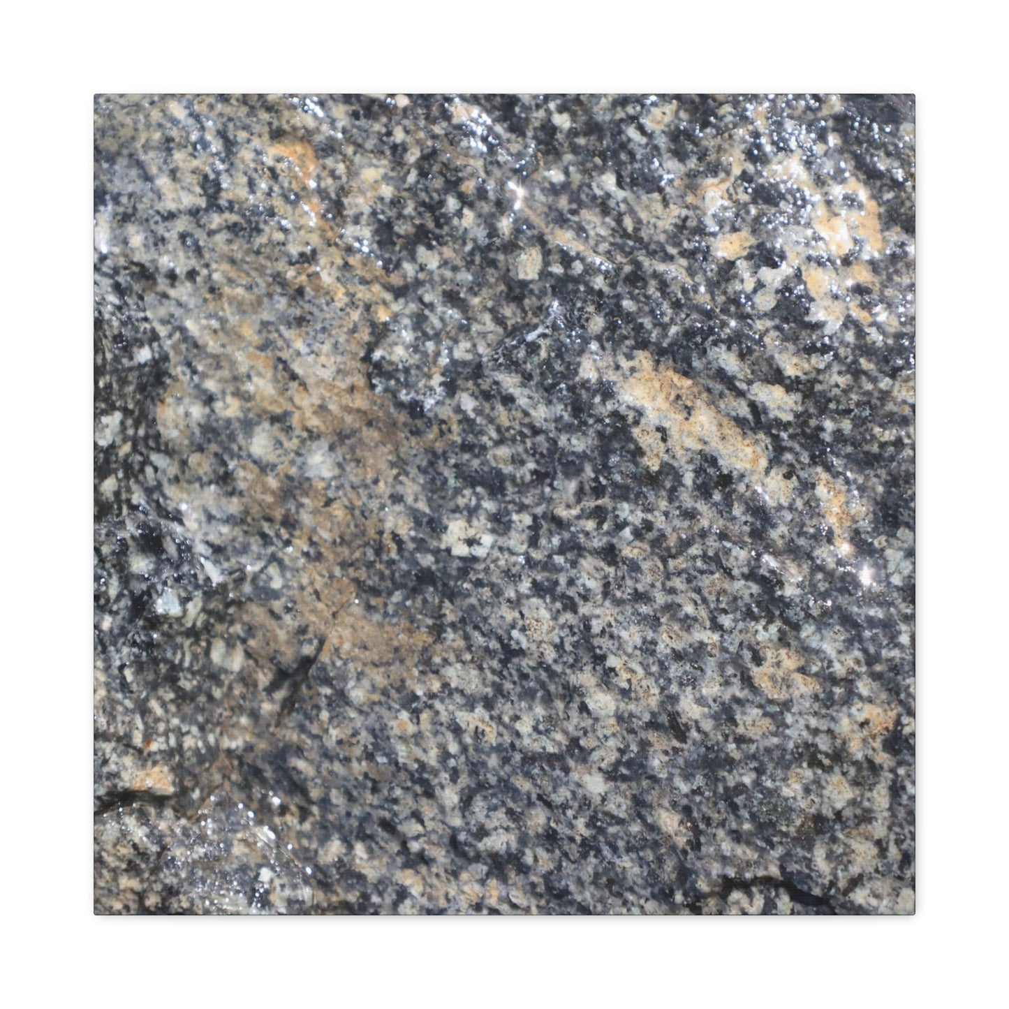 Metamorphic Memory - Unique Frameless Canvas Wall Art - Art By Earth