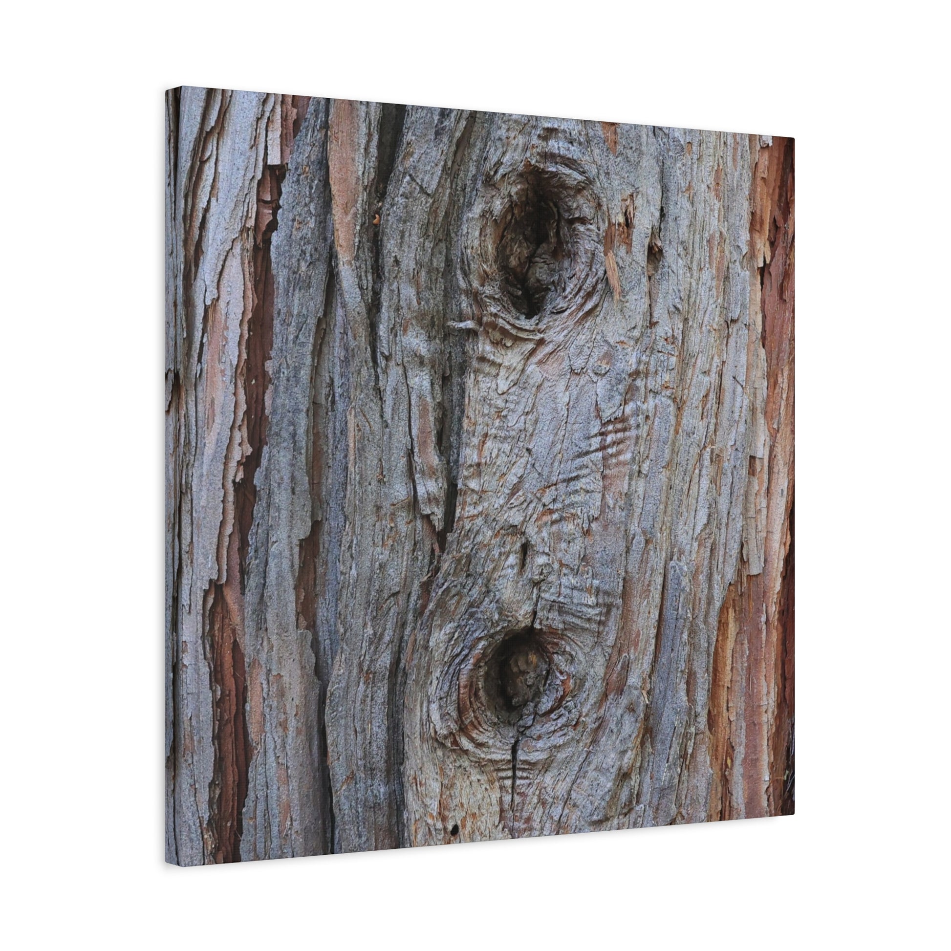 Wooden Memoir - Unique Frameless Canvas Wall Art - Art By Earth