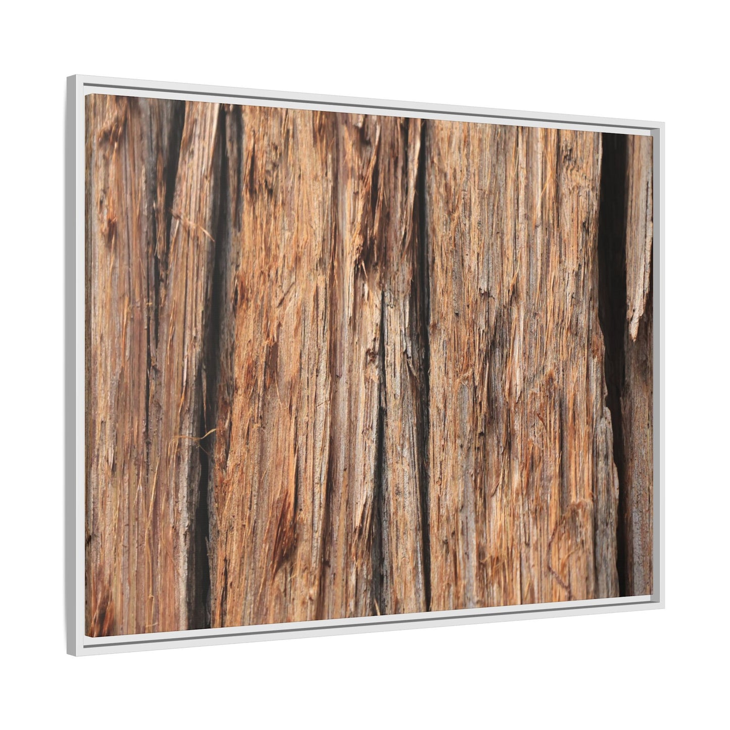 Timber Echoes - Unique Stretched Canvas Wall Art - Art By Earth
