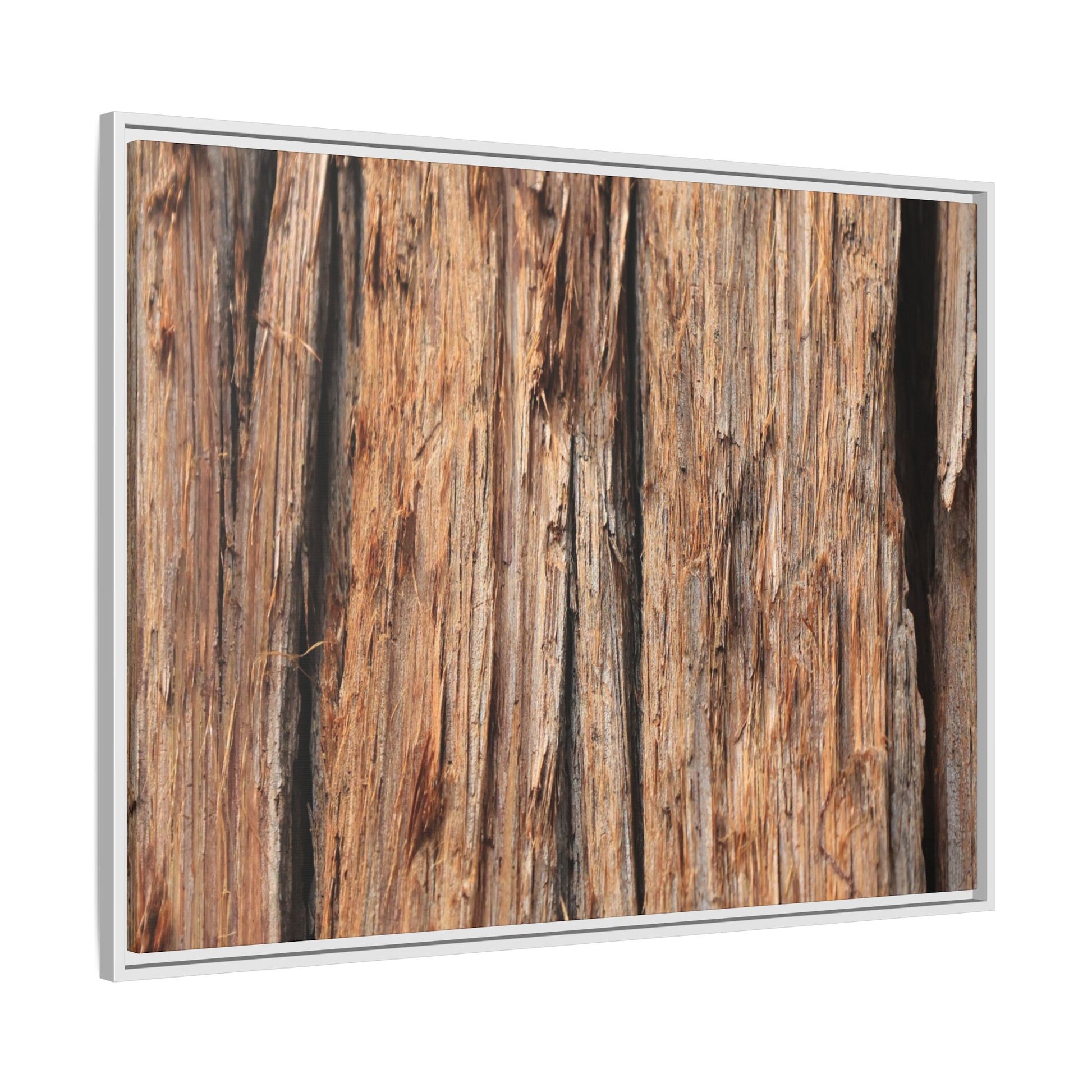 Timber Echoes - Unique Stretched Canvas Wall Art - Art By Earth