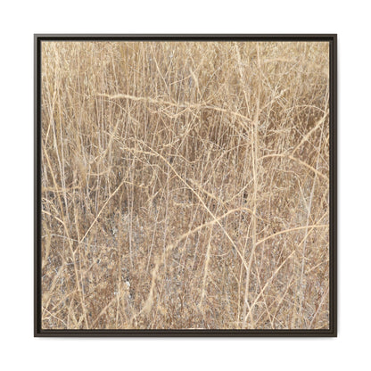 Golden Stalks - Unique Stretched Canvas Wall Art - Art By Earth