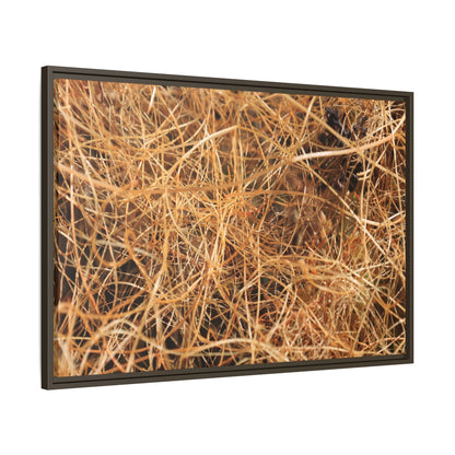 Dried Grass - Unique Stretched Canvas Wall Art - Art By Earth