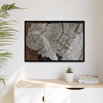 Time's Signature - Unique Stretched Canvas Wall Art - Art By Earth