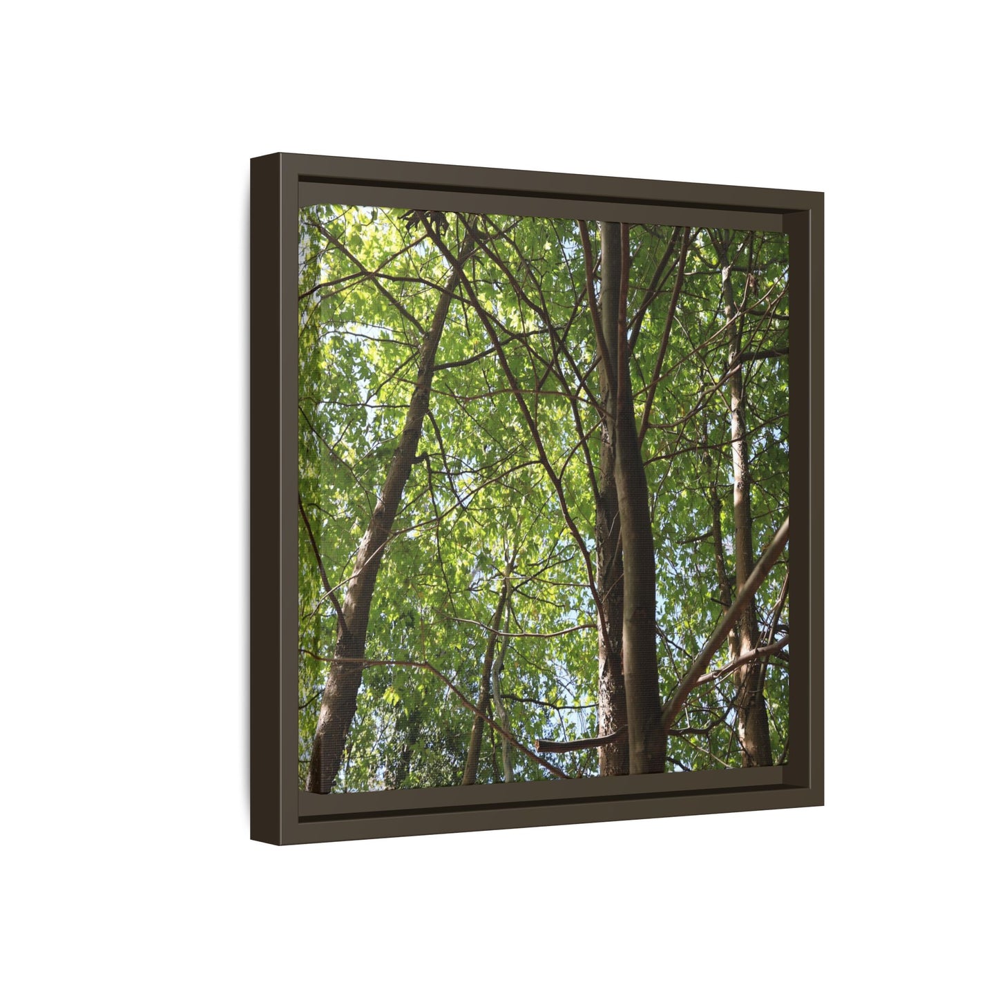 Forest Branches - Unique Stretched Canvas Wall Art