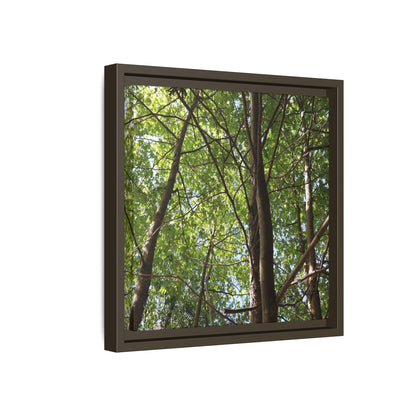 Forest Branches - Unique Stretched Canvas Wall Art