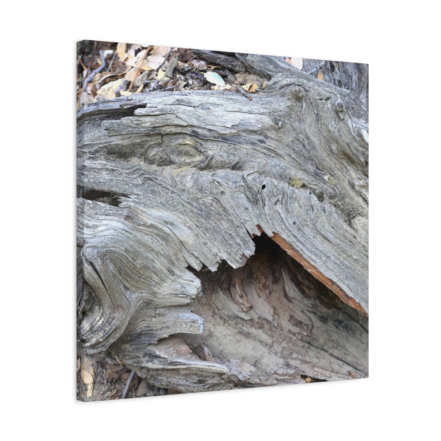 Whispers of Ancient Wood - Unique Frameless Canvas Wall Art - Art By Earth