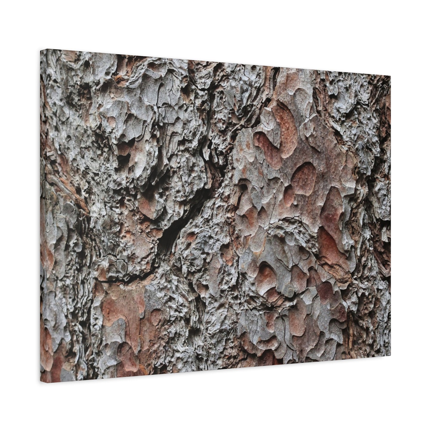 Textured Whispers of Bark - Unique Frameless Canvas Wall Art - Art By Earth