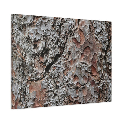 Textured Whispers of Bark - Unique Frameless Canvas Wall Art - Art By Earth
