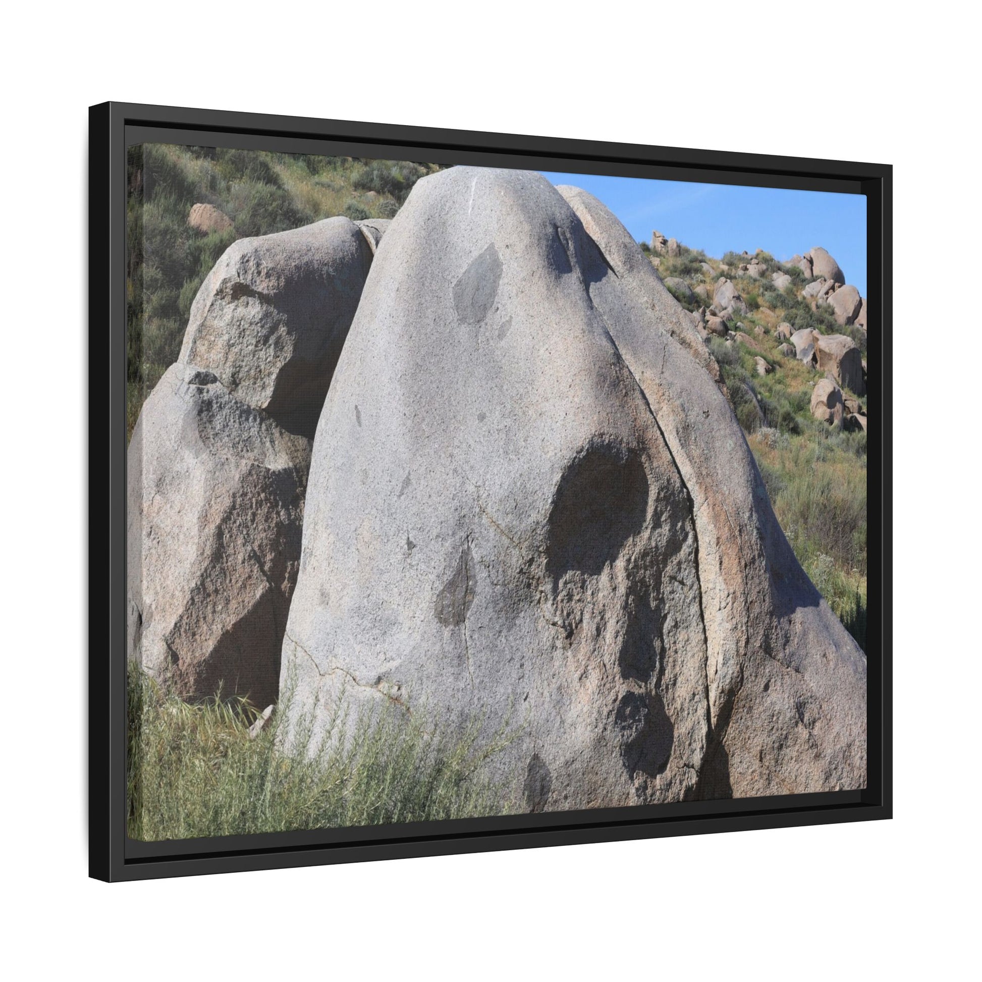 Skull Rock Desert - Unique Stretched Canvas Wall Art - Art By Earth