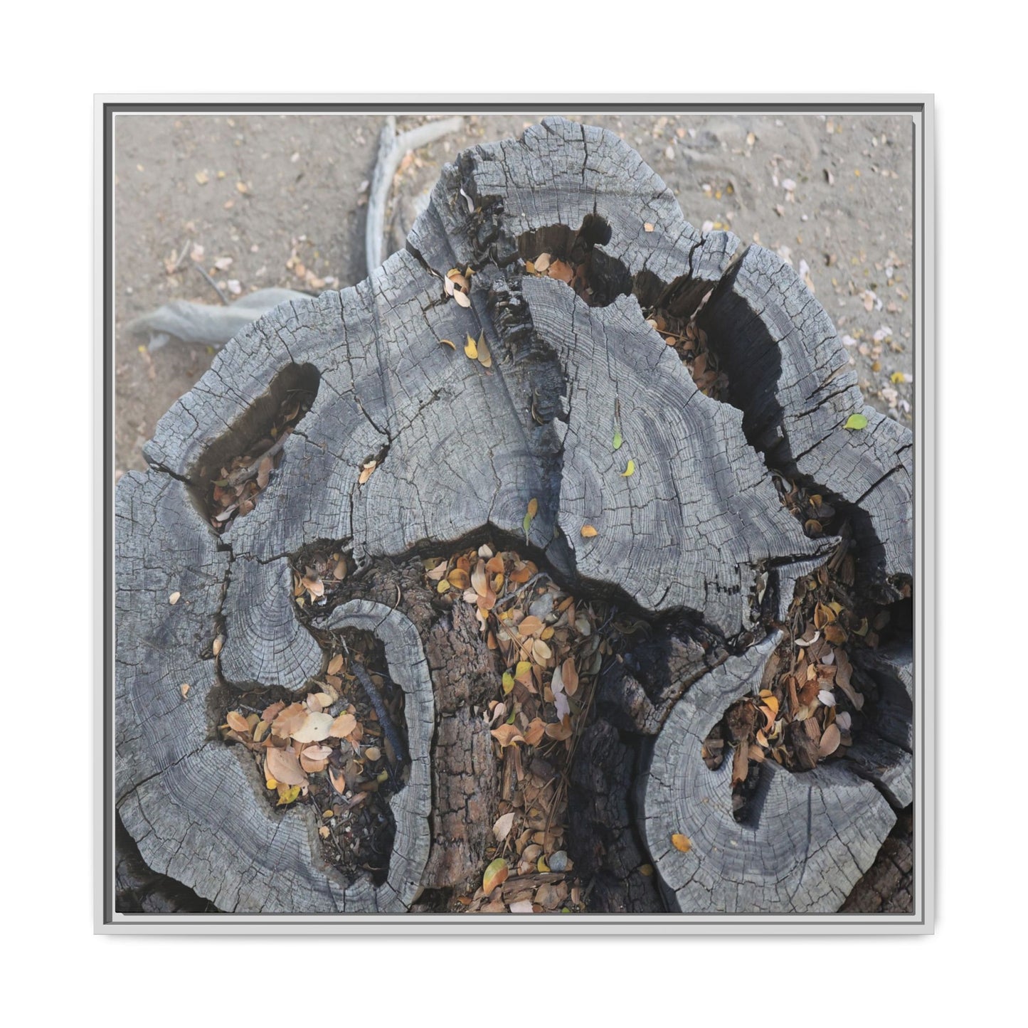 Time's Fractal Memory - Unique Stretched Canvas Wall Art - Art By Earth