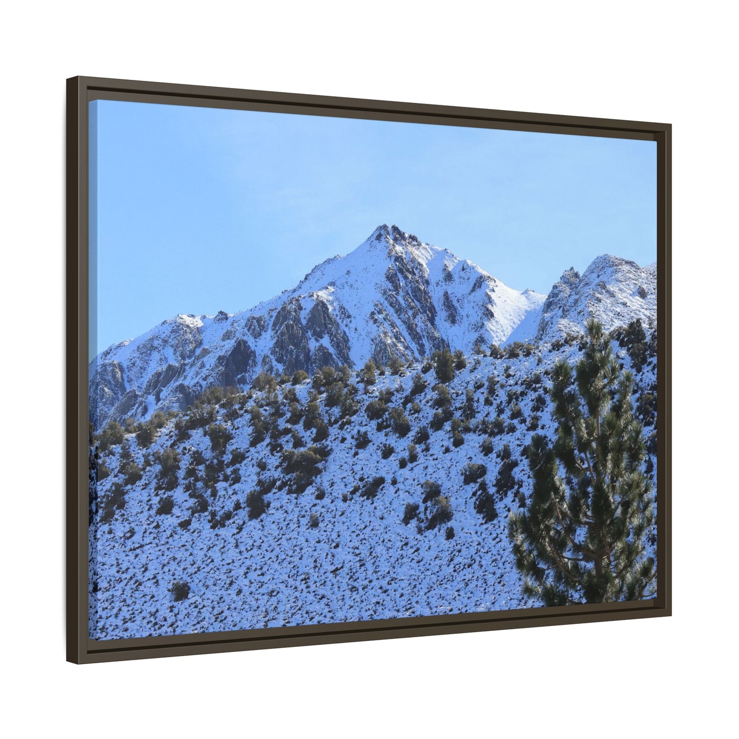 Snow's Embrace - Unique Stretched Canvas Wall Art
