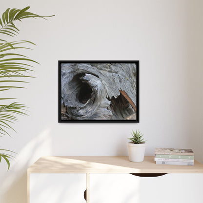 Bark's Labyrinth - Unique Stretched Canvas Wall Art - Art By Earth