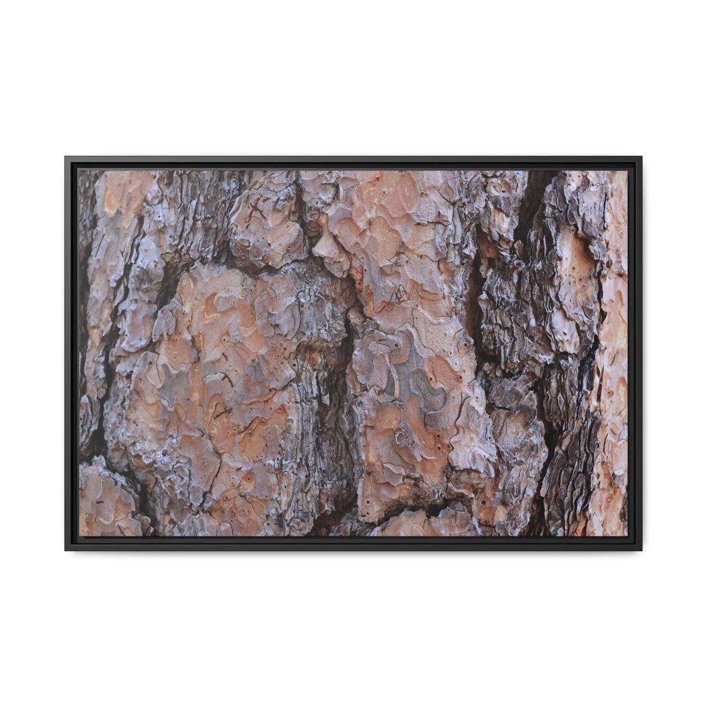 Tree Skin Symphony - Unique Stretched Canvas Wall Art - Art By Earth