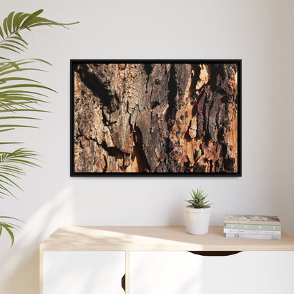 Rugged Beauty - Unique Stretched Canvas Wall Art - Art By Earth