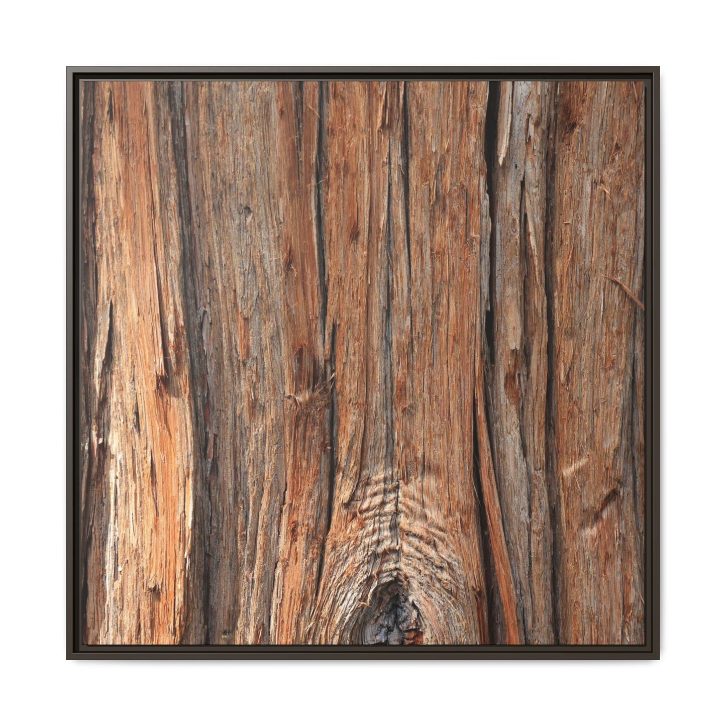 Echoes of Timber - Unique Stretched Canvas Wall Art - Art By Earth