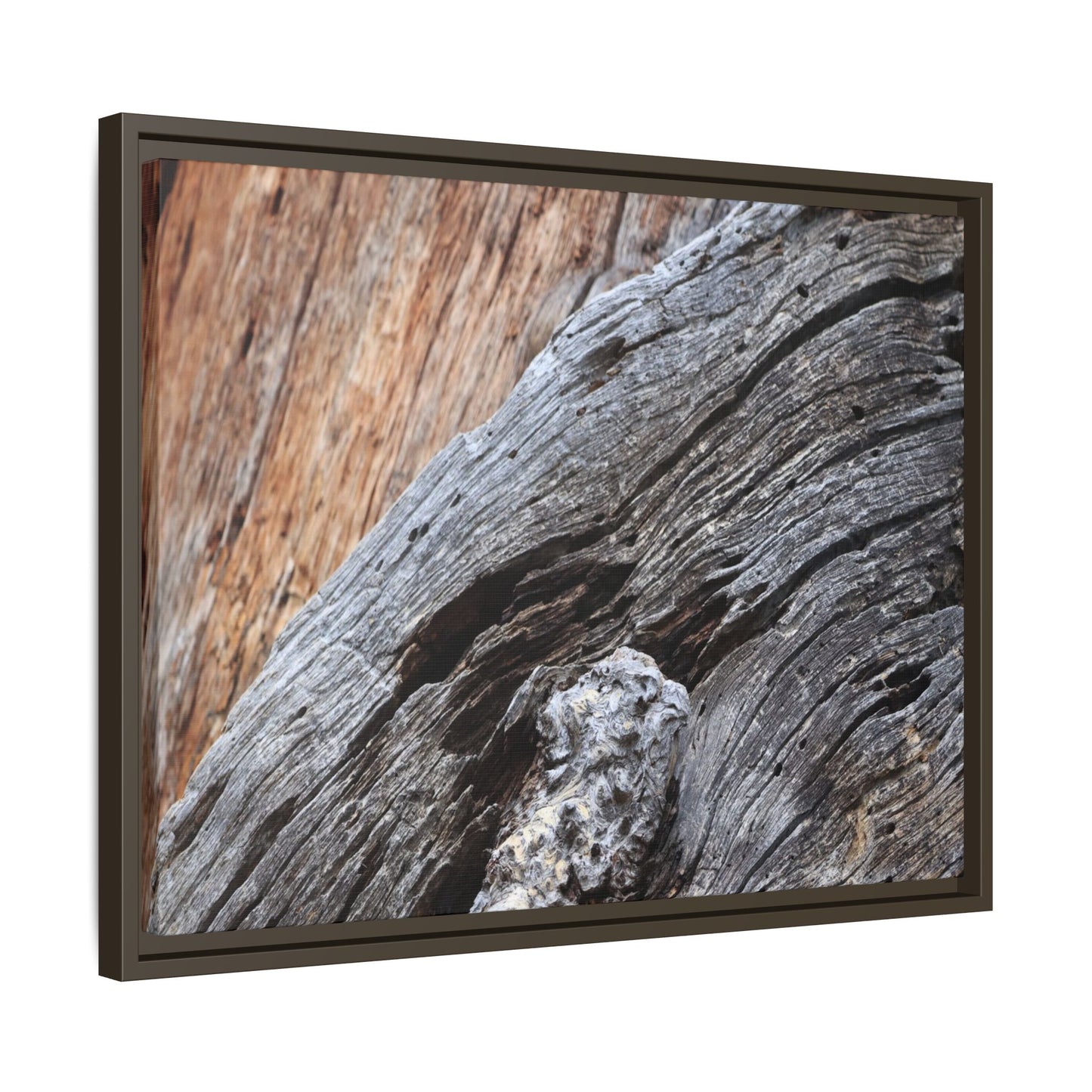 Time's Mark on Timber - Unique Stretched Canvas Wall Art - Art By Earth