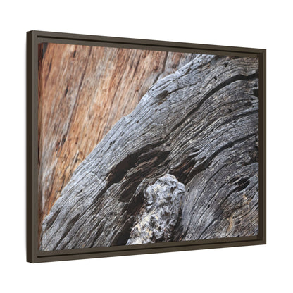Time's Mark on Timber - Unique Stretched Canvas Wall Art - Art By Earth