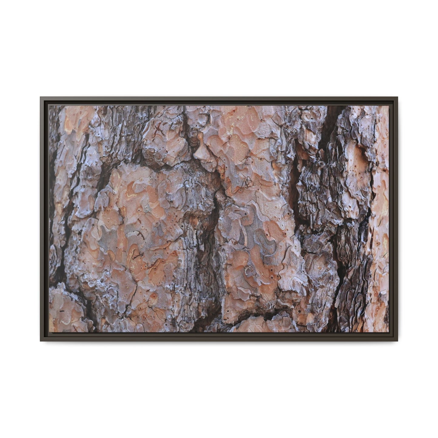 Tree Skin Symphony - Unique Stretched Canvas Wall Art - Art By Earth