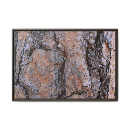 Tree Skin Symphony - Unique Stretched Canvas Wall Art - Art By Earth
