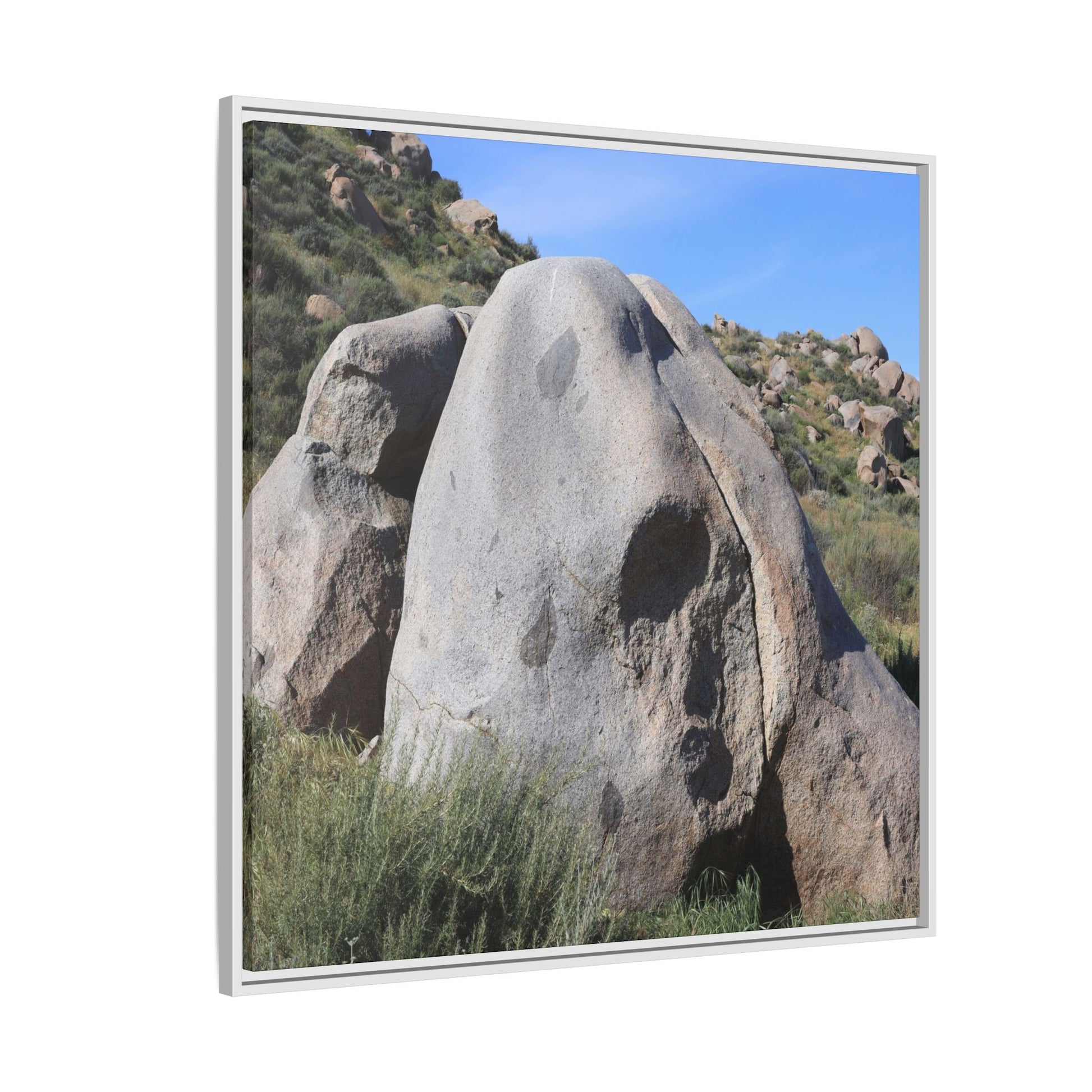 Skull Rock Desert - Unique Stretched Canvas Wall Art - Art By Earth