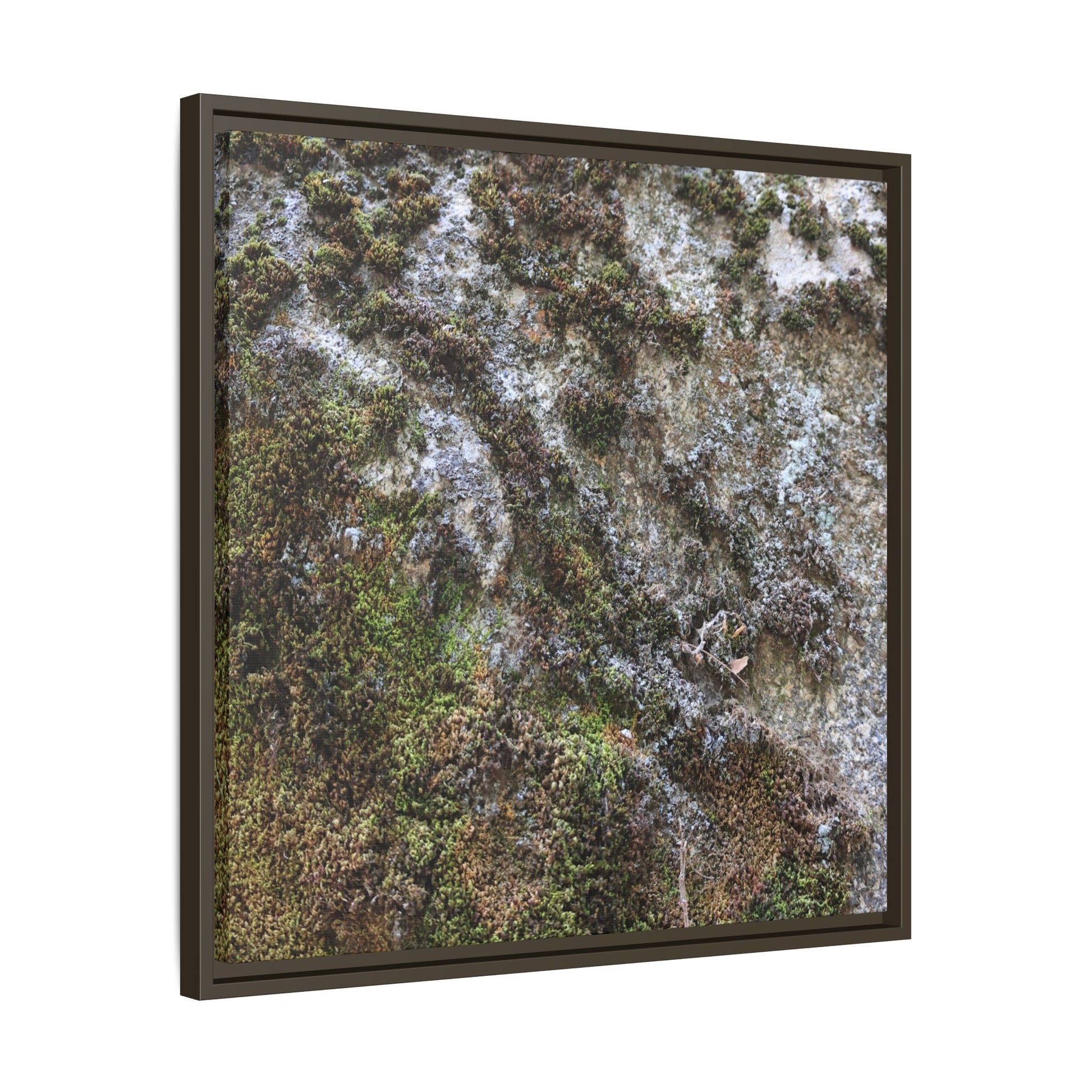 Mossy Whispers - Unique Stretched Canvas Wall Art - Art By Earth