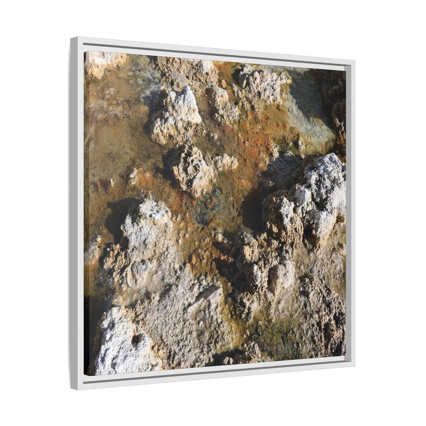 Textural Metamorphosis - Unique Stretched Canvas Wall Art