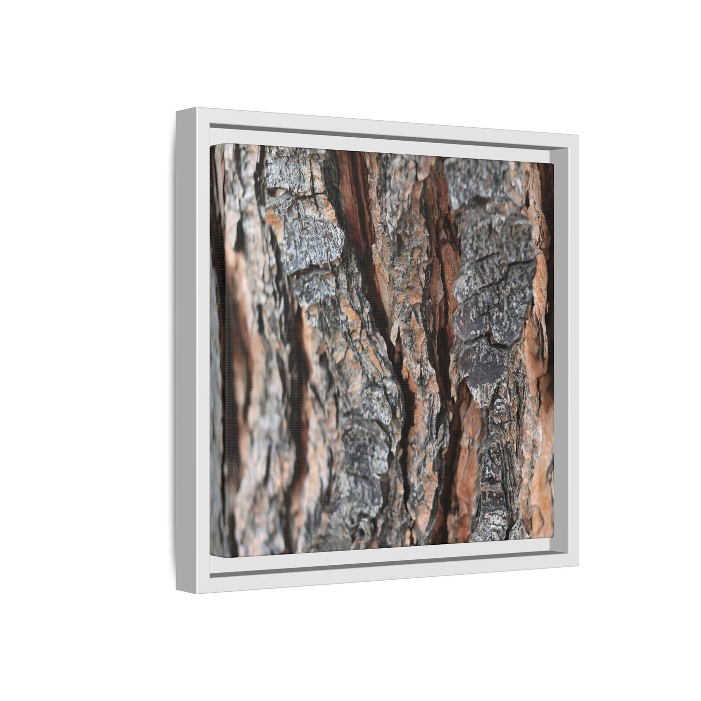 Fractured Nature - Unique Stretched Canvas Wall Art - Art By Earth