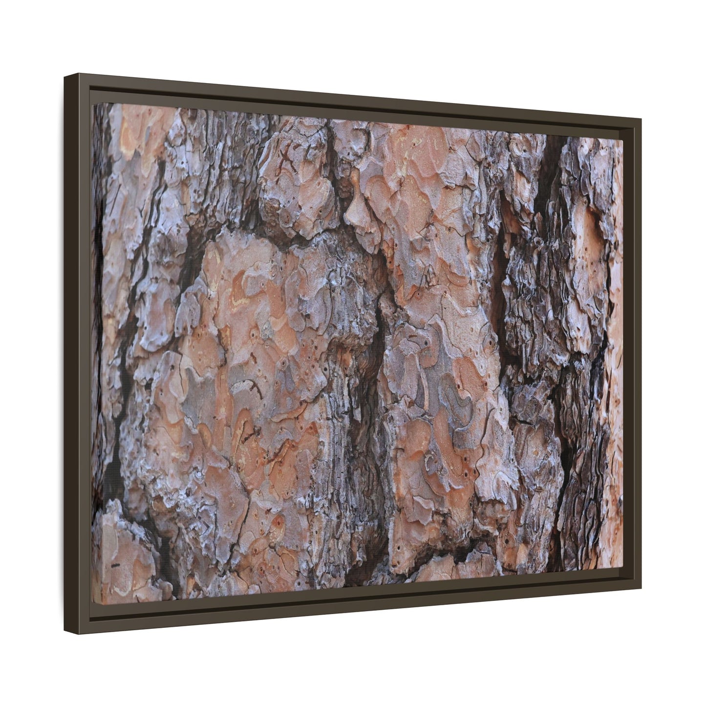 Tree Skin Symphony - Unique Stretched Canvas Wall Art - Art By Earth