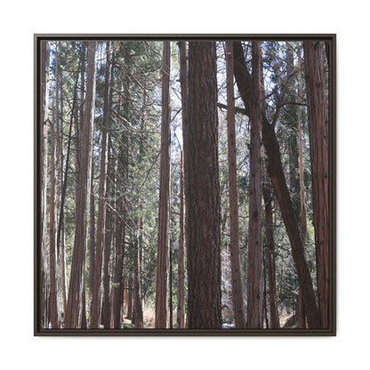 Forest Cathedral - Unique Stretched Canvas Wall Art - Art By Earth