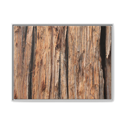 Timber Echoes - Unique Stretched Canvas Wall Art - Art By Earth