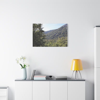 Mountain Vista Through Forest - Unique Frameless Canvas Wall Art