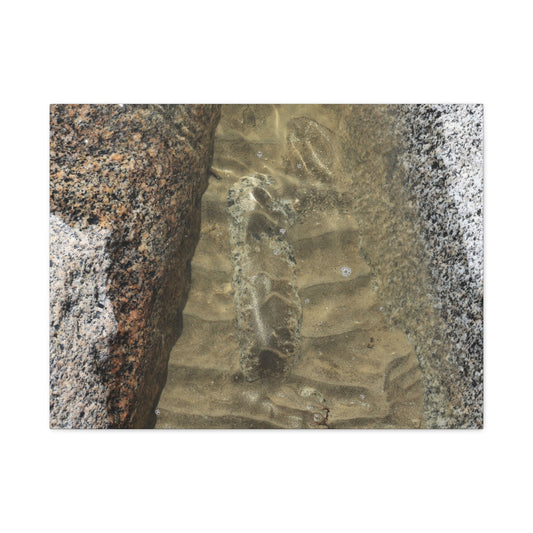 Weathered Concrete Gap - Unique Frameless Canvas Wall Art - Art By Earth