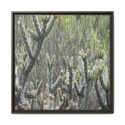 Prickly Paradise - Unique Stretched Canvas Wall Art - Art By Earth