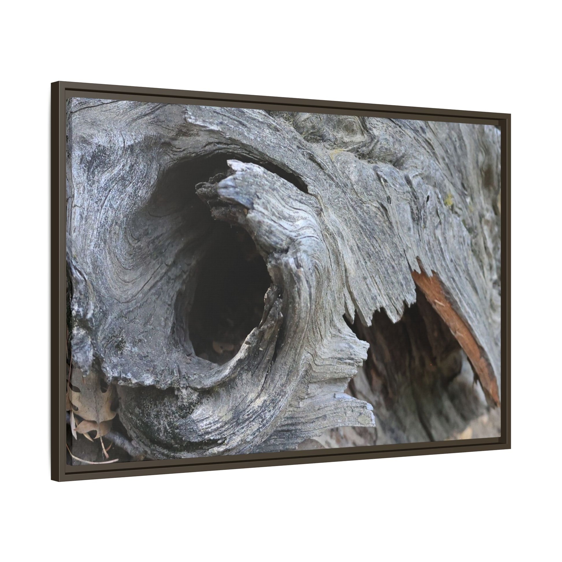 Bark's Labyrinth - Unique Stretched Canvas Wall Art - Art By Earth