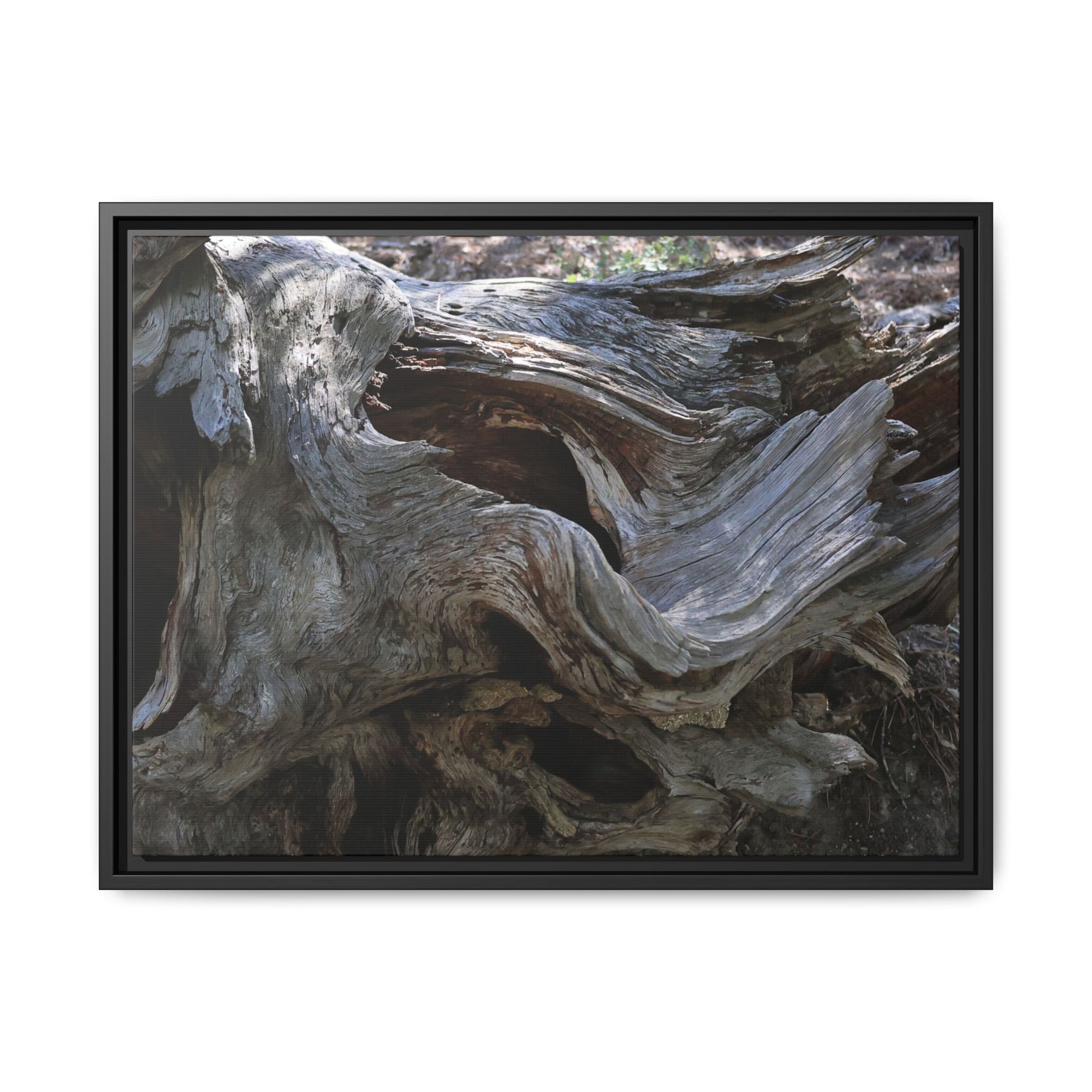 Twisted Memories - Unique Stretched Canvas Wall Art - Art By Earth