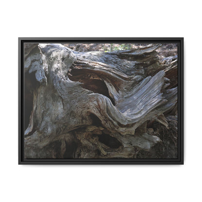 Twisted Memories - Unique Stretched Canvas Wall Art - Art By Earth