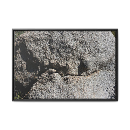 Stone Skull in Desert - Unique Stretched Canvas Wall Art