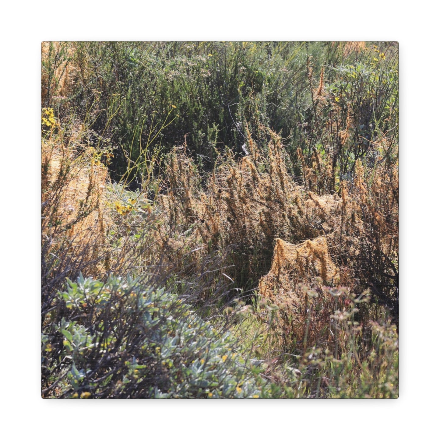 Sagebrush Desert Landscape - Unique Frameless Canvas Wall Art - Art By Earth