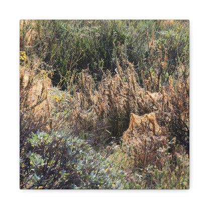 Sagebrush Desert Landscape - Unique Frameless Canvas Wall Art - Art By Earth