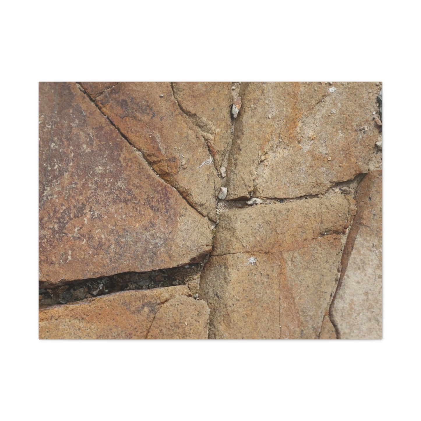 Cracked Earth's Canvas - Unique Frameless Canvas Wall Art - Art By Earth