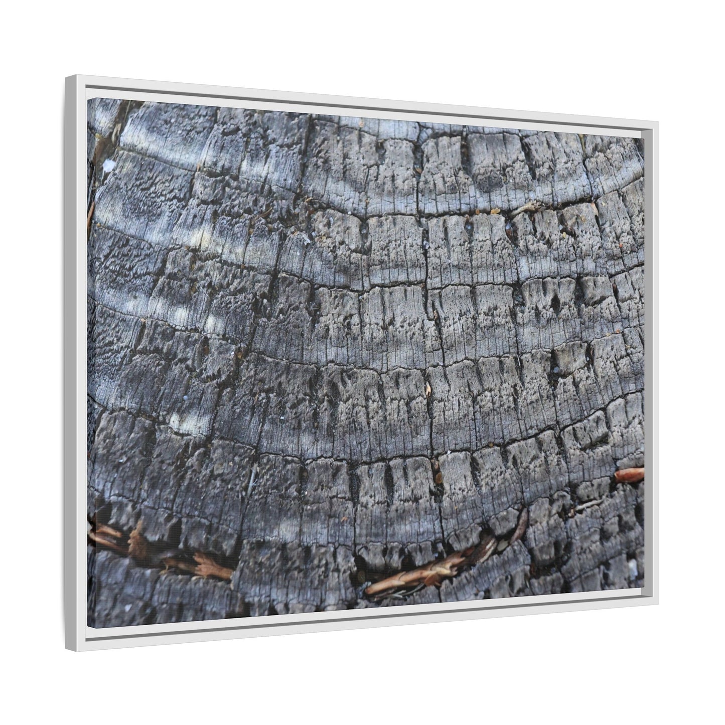 Charred Memories - Unique Stretched Canvas Wall Art - Art By Earth