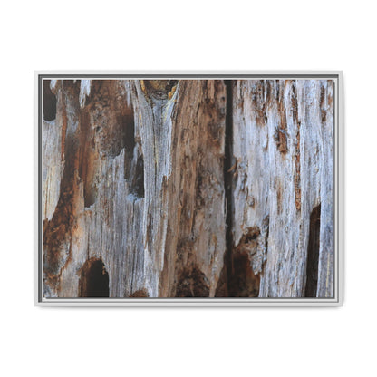 Decaying Splendor - Unique Stretched Canvas Wall Art - Art By Earth