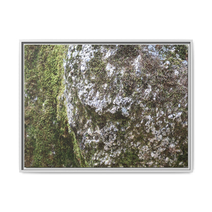 Lichen Landscape - Unique Stretched Canvas Wall Art - Art By Earth