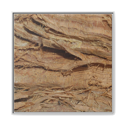 Splintered Bark - Unique Stretched Canvas Wall Art - Art By Earth