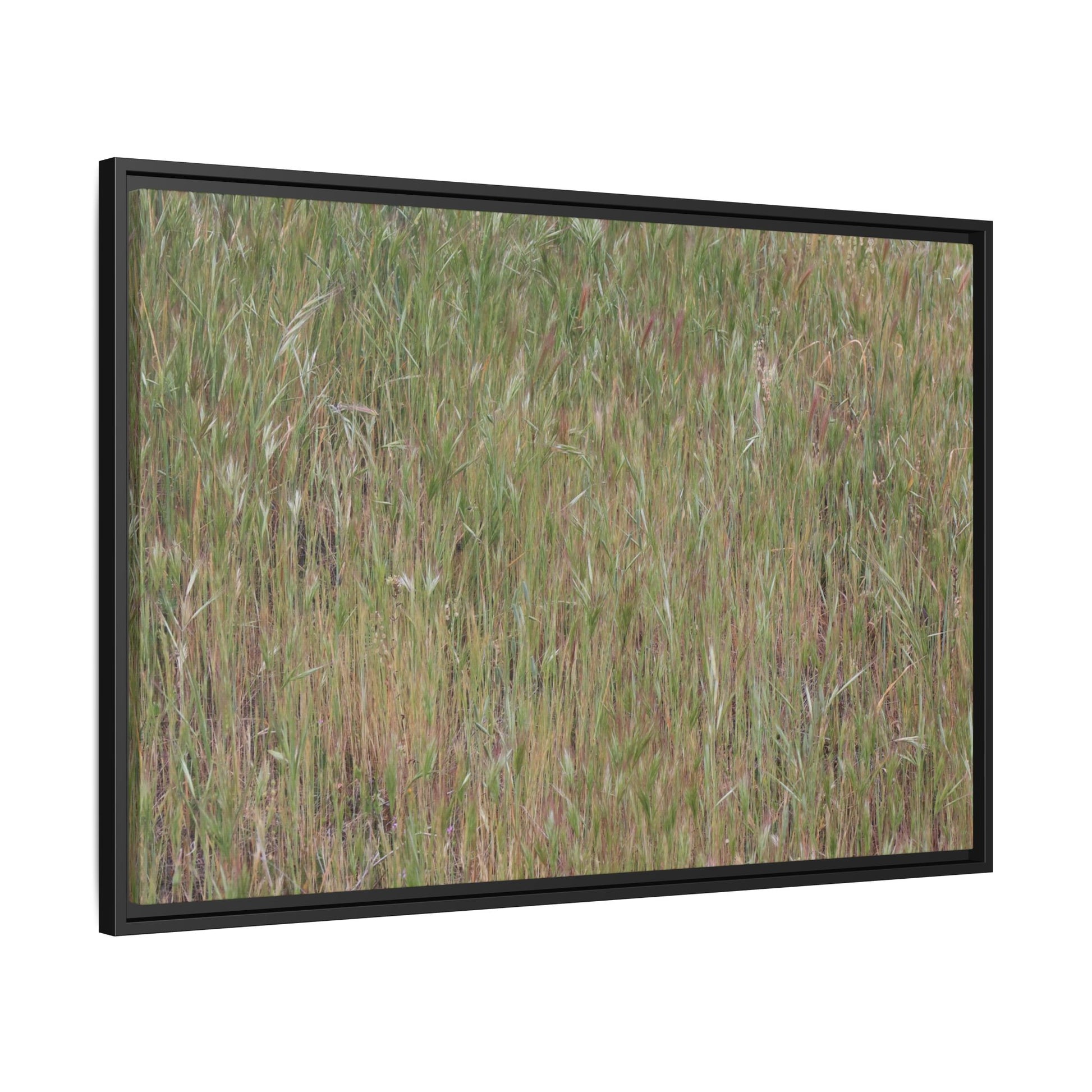 Field of Dreams - Unique Stretched Canvas Wall Art - Art By Earth
