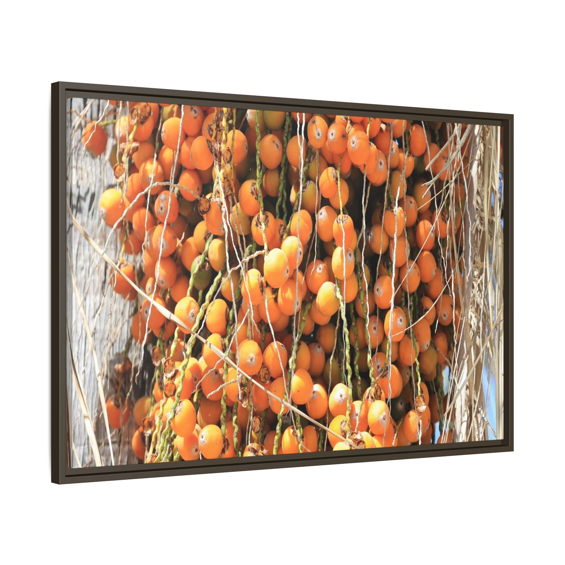 Clusters of Sunlight - Unique Canvas Wall Art - Art By Earth