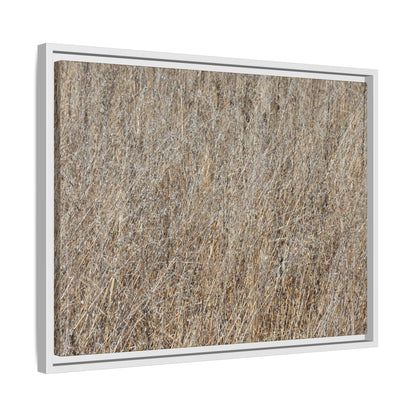 Dry Straw Symphony - Unique Stretched Canvas Wall Art - Art By Earth